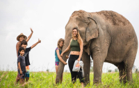 One Hour Elephant Trekking Pattaya Tour