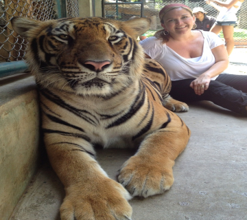 Tiger Park Pattaya with Transfers 